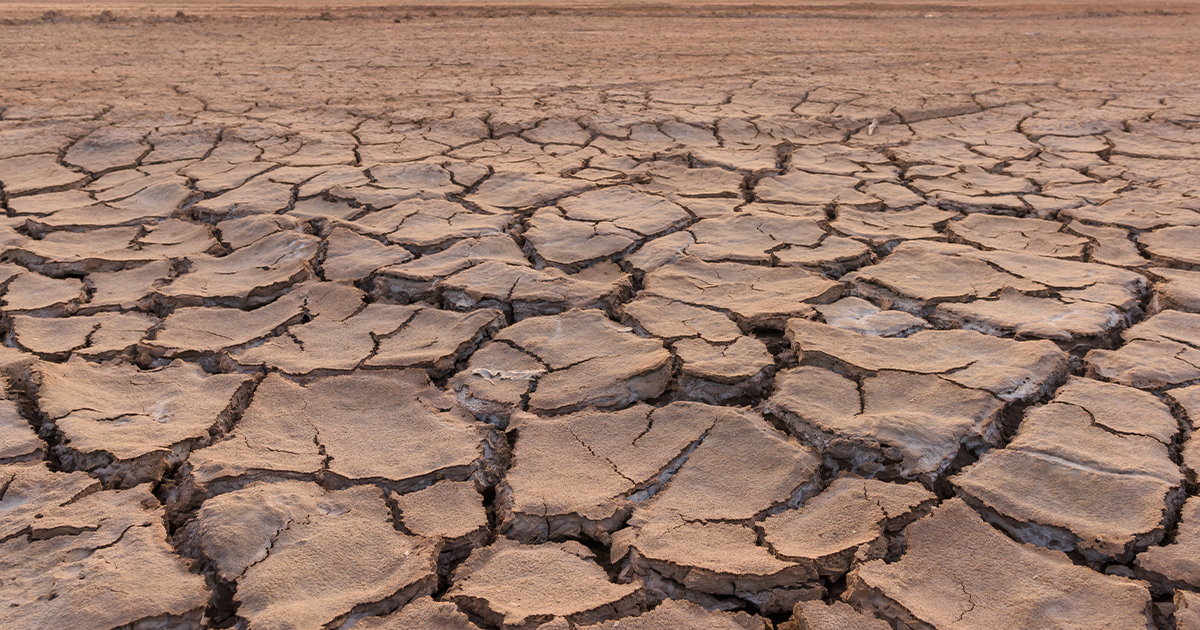 Water use Wednesday cracked dirt